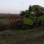 Landwirtschaft